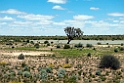 Birdsville track.20101031_2413