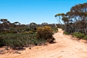 Gluepot Reserve.20101105_3304