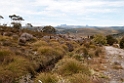 Mountain Valley Tasmania.20101111_3785