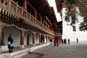 Punakla Dzong.20100424_0668