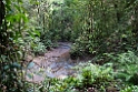 Borneo Rainforest Lodge.20110301_6359