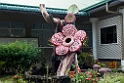 Rafflesia Center.20110304_6593