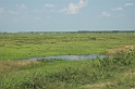 Pantanal landskan01-01