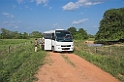 Pantanal-bus-01