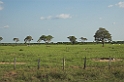 Pantanal-landskab-01