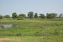 Pantanal-landskab01-01