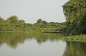Pantanal-landskab02-01