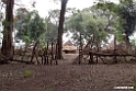 Bishangeri Lodge.201017jan_3393