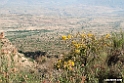 Jemma Valley.201011jan_1879