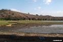 Lake Awasa .201024jan_4427