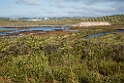 Castro Marim Nature Reserve.20150411_3092