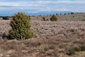 Hoces del rio Duraton.20120422_9831