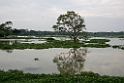 Debarawewa Dam.20131129_0253