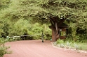 Manyara gate