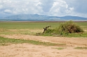 Manyara landskab01