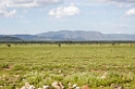 Ngorongoro-Ndutu