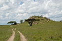 Serengeti landskab00