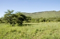 Serengeti landskab05