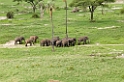 Tarangira Elefant06